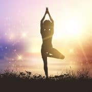 Yoga en het systemisch gedachegoed
