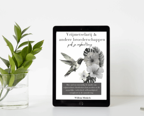 Vrijmetselarij en andere broederschappen ebook